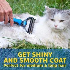 Professional Grooming Brush For Dogs & Cats